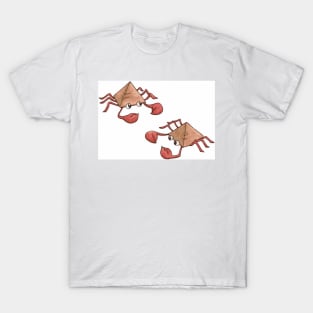 Pyramid Hermit Crabs T-Shirt